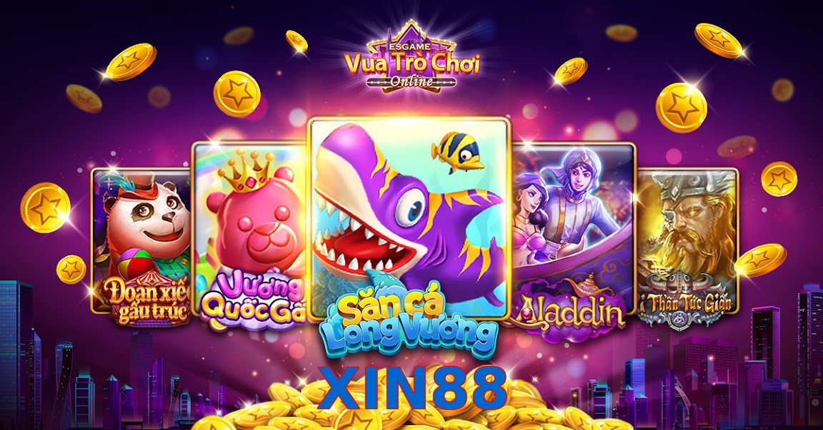 XIN88