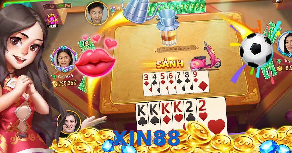 XIN88