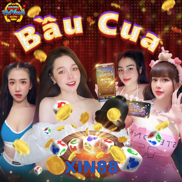 XIN88
