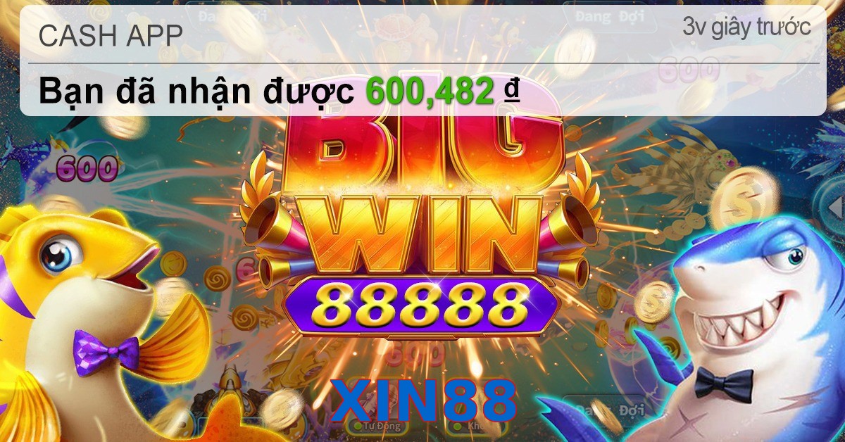 XIN88