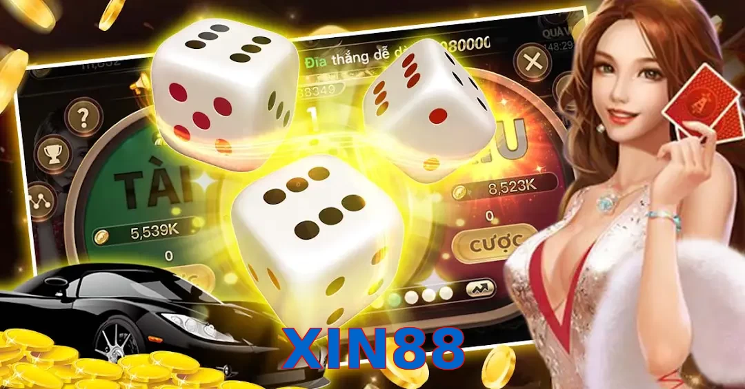 XIN88